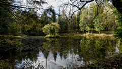 As son los Lagos de Teixeiro, una zona verde idlica al lado de Lugo