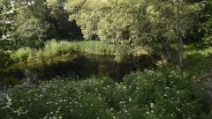 Zona de la Lagoa de Cospeito en la que apareci el cadver de una mujer