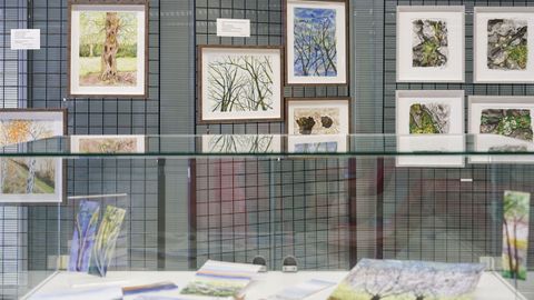 Exposici�n de Teresa Velasco en la Biblioteca N�s