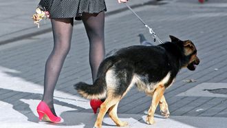 Una mujer pasea con su perro, en imagen de archivo