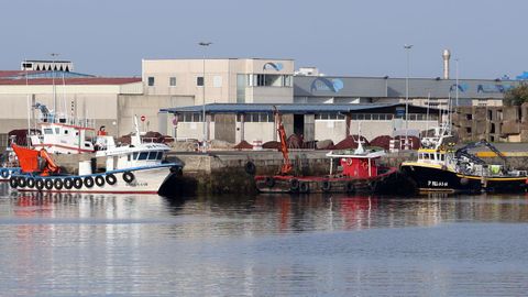 Vista general del puerto de Tragove
