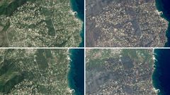 Verde antes de los fuegos en Grecia, ceniza tras las llamas