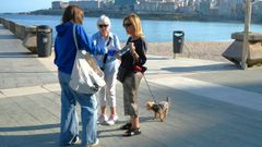 Entrega de portabolsas y botellas para la limpieza de heces y orines de perros
