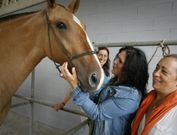 El p�blico tuvo oportunidad de disfrutar de los ejemplares m�s bellos en el Campo da Feira. 