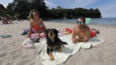 Playa de Seiramar, en Viveiro, habilitada para perros