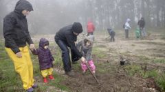 Plantaci�n de �rbores aut�ctonas no monte de Frox�n