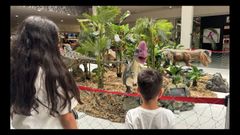 Dos visitantes de la exposici�n de Ode�n observan los ejemplares.