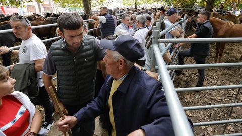 El Campo da Feira acoger� citas ganaderas