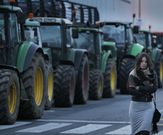 Tractorada en el Carrefour de Alfonso Molina. 