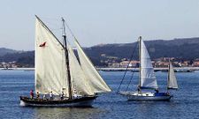 La regata de cl�sicos trajo el pasado verano a Boiro espectaculares veleros.