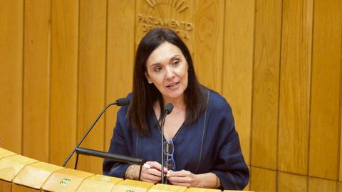 La parlamentaria Carmen Dacosta
