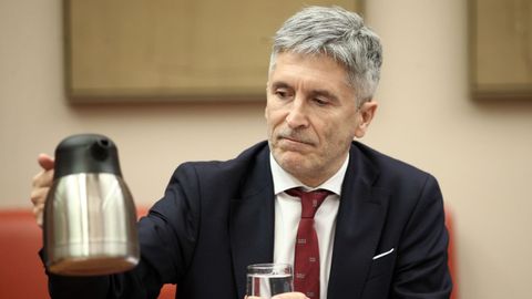 Fernando Grande-Marlaska, ministro del Interior