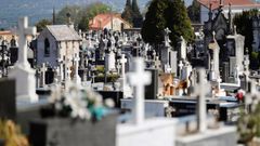 Vista del cementerio municipal de El Salvador de Oviedo
