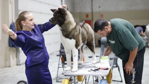 Exposici�n Canina de Galicia en Lugo