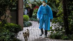 Un hombre pasea a su perro en una zona residencial de Shangh�i.