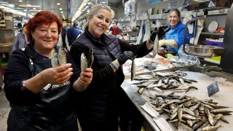 Sardinas en una pescader�a de la coru�esa plaza de Lugo, a principios de junio del 2025.