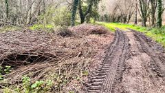 Los restos que, seg�n traslada el PSOE de Coristanco, est�n depositados en un camino p�blico de A Agualada