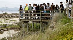 Los alumnos recorrieron el terreno antes de arrancar especies invasoras de las dunas. 