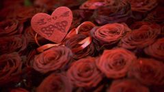 El mundo se ti�e de rojo para celebrar San Valent�n
