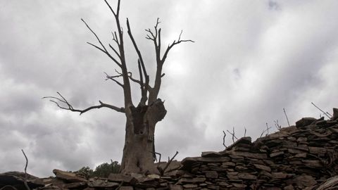 El embalse de Vilasouto el pasado septiembre, tras un ao de sequa