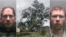 Daniel Graham (izquierda) y Adam Carruthers (derecha) junto al �Sycamore Gap� que talaron. Durante el jucio no admitieron ser los autores del arboricidio, pese a que las pruebas contra ellos fueron determinantes para la jueza.
