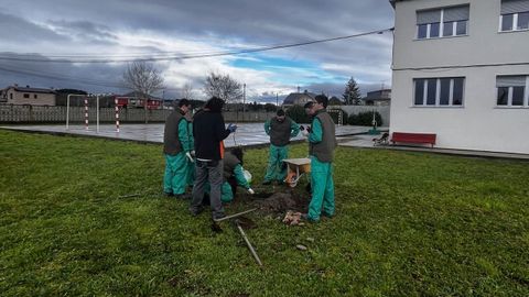 Estudiantes del Infanta Elena preparando el terreno para hacer una plantacin en el recinto del centro