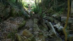 Manuel Romero muestra los destrozos que caus� la riada de enero del 2025, que arrastr� varias rocas que impiden que el agua llegue a su molino de O Inferni�o