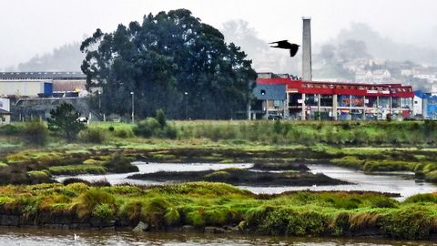 En la desembocadura del Lagares todava se conservan los restos de una salina que funcion hasta principios del siglo XIX