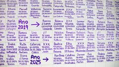 38 Mujeres muertas en 2025 en Espaa por violencia machista.