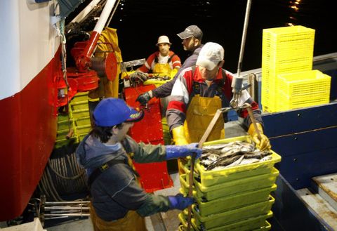 Tripulantes de un pesquero descargan en A Mari�a las capturas que s� pueden comercializar. 