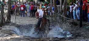 Una de las atracciones de la tarde fue la yincana en la que participaron los caballos.