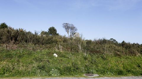 Los terrenos en los que se va a desarrollar el proyecto deportivo.