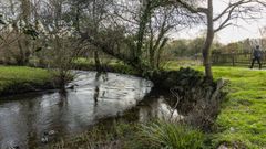 Entorno del r�o Anll�ns, en Carballo