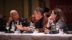 El secretario general del PSOE, Pedro Snchez, durante su intervencin en el Congreso de los Socialistas Europeos en msterdam