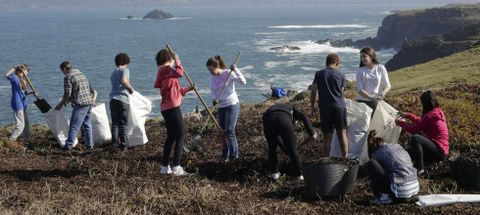 Alumnos del IES Mar�a Casares de Bastiagueiro limpiaron de u�a de gato terrenos en Seixo Branco donde hoy crece el gram�n. 