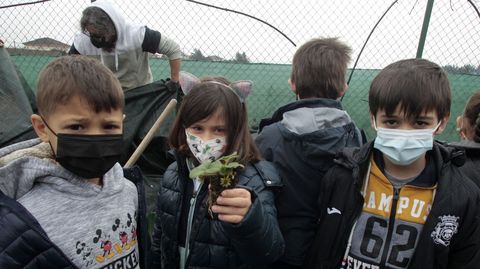 Tres alumnos da Gndara dunha das plantas de amorodos que puxeron este luns na horta do colexio 