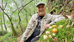 Cuba, junto a varios ejemplares de Amanita caesarea, en un bosque de la comarca de Ortegal