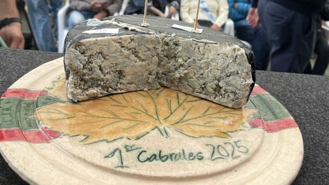 Queso cabrales ganador del Certamen Queso Cabrales de 2025