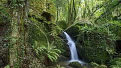 Un paseo en imgenes por la ruta de los molinos de Baldomar