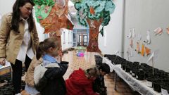Proyecto educativo a largo plazo