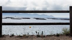Los pol�gonos de bateas de Cangas est�n cerrados desde finales de abril, cuando la marea roja afect� a toda Galicia. 