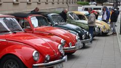 Concentracin de escarabajos en Ferrol.