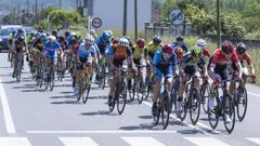 El Trofeo ciclista, en fotos