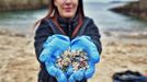 Una voluntaria limpiando de plets la playa coruesa de O Portio