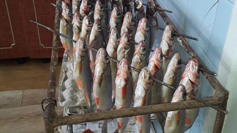 Pescado que se prepara para la despensa del inverno en casa de los padres de la cartera viveirense