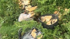 Material de obra encontrado en las inmediaciones de Quenxe