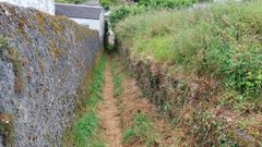 Imagen del sendero que la adjudicataria ha desbrozado para facilitar el acceso a pie a los vecinos