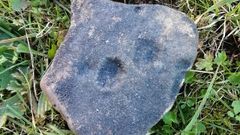La roca de 527 gramos de peso fue recuperada en un prado de la aldea de Traspena, en Baralla
