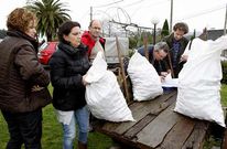 El gerente del GDR de Berganti�os reparti� la simiente de la variedad Fina de Carballo.