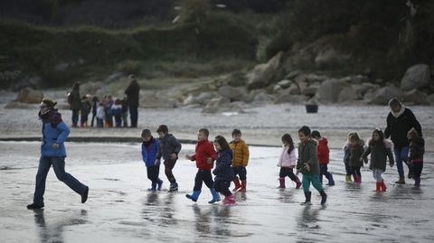 Unha crecente corrente de estudos v�n detectando desde hai anos a importancia que ten desenvolver actividades en plena natureza para o noso benestar f�sico, intelectual e emocional